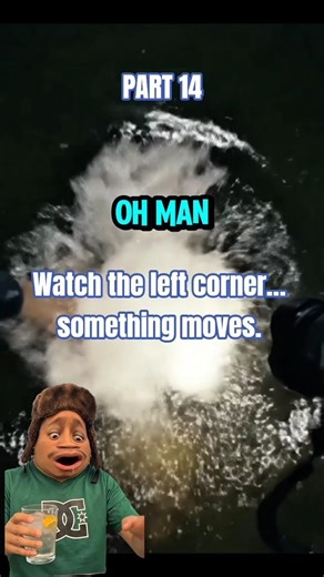 Something Was Moving Under the Water