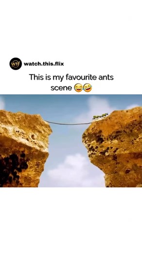Movies | Series | Streamers on Instagram: "🎬 Interesting Fact: Minuscule (2012) — Big Adventures, Tiny Heroes Minuscule tells epic stories on a microscopic scale, following tiny insects as they navigate everyday survival without using traditional dialogue. Instead of spoken words, the film relies on expressive animation, detailed sound design, and strong visual storytelling to convey emotion, humor, and tension in a way anyone can understand. By blending real-life environments with CGI insects,