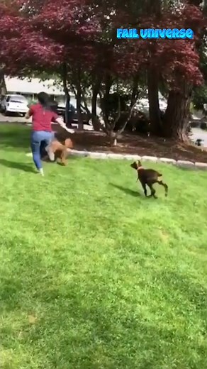 30K views · 208 reactions | When your shoe gets stuck and you pretend it’s normal. | Fail Universe | Facebook