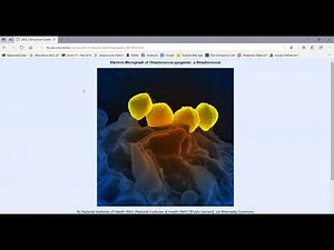 Focusing a Microscope; Sizes, Shapes, Arrangements, and Forms of Bacteria