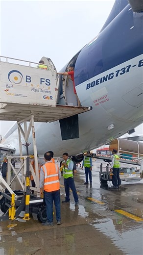 Connecting ladder and opening L2 door #cabincrew #boeing737 #aviation