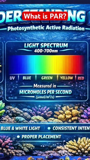 Measuring the Lights on My 800 Gallon Reef Tank! 🪸