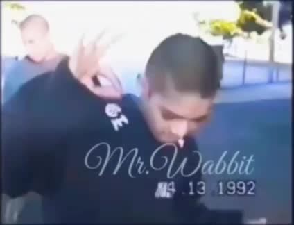 MR.WABBIT (@senor.wabbit)’s videos with original sound - MR.WABBIT