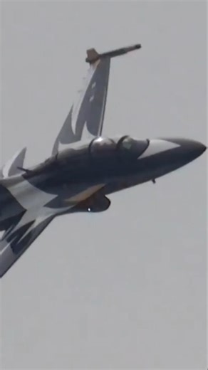 The Black Eagles' Sneak Pass! The T-50 skims past the audience—ROKAF aerobatics team