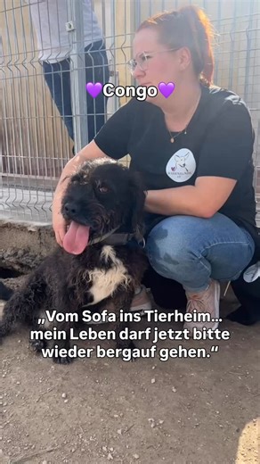💜🐾 Zur Adoption🐾💜 Congo wurde eigentlich nur für die Urlaubszeit im Tierheim abgegeben. Abgeholt wurde er nicht mehr 😢. Was fühlt eine zarte Seele, wenn die geliebten Menschen einfach nicht wiederkommen? Der 5-jährige Mischling ist so ein lieber, lebensfroher und sozialer Hund, wir verstehen es nicht. Er ist für alle Schandtaten bereit, geht gerne spazieren und ist das Leben im Haus gewöhnt. Congo hofft nun auf seine zweite Chance bei lieben Menschen, die ihn mit in den Urlaub nehmen und ih