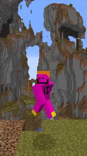 Minecraft's Tallest Mountain (record)