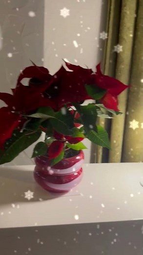 Silent Night | Piano Solo