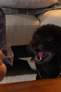 Hamzy mukbang ! | Latte Cafetería de Especialidad