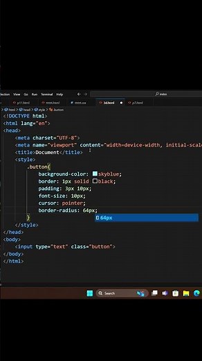 Input Style Button || HTML | CSS