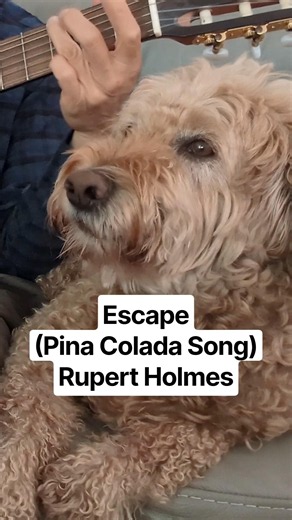 Finn Sings Escape (the Pina Colada song) by Rupert Holmes :)