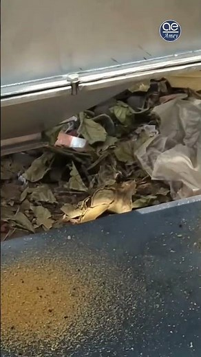 Shredding & Separating Expired Food Waste | Waste Recycling with Depackager Machine #food #chips