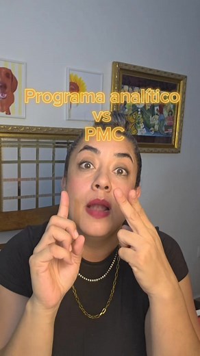 diferencia entre programa analítico y PMC #programaanalitico #pmc #fuagnosticosocioeducativo | Aprende con Idaly