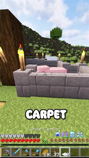 Did You Know Carpet Stops Mobs? #minecraft #shorts