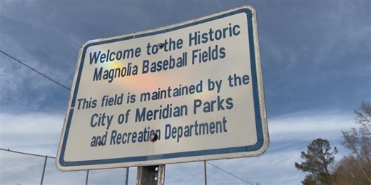 A new baseball field in the works for Magnolia Park