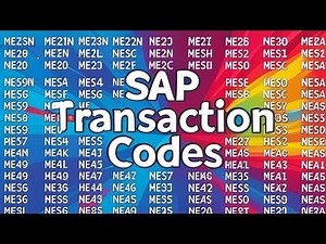 Executing Transactions via the Main Menu and Direct Transaction Code Entry