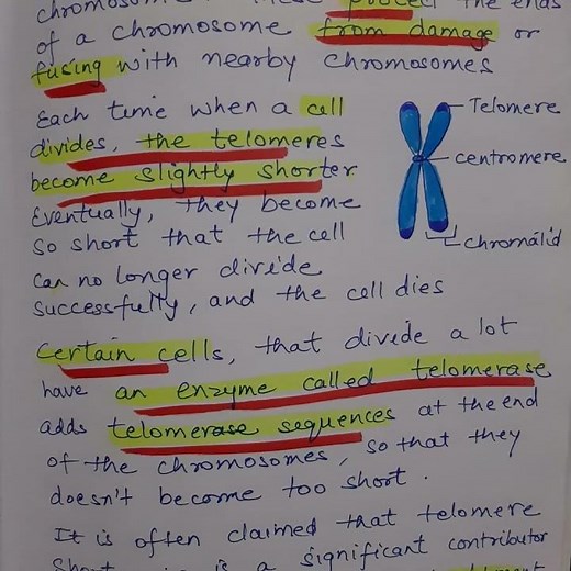 telomere structure and function #neet #genetics #cell