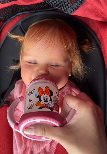 Cuidados dos Bebês Reborn: Dicas e Rotinas