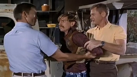 Adam 12 S2Е17 Log 24 A Rare Occasion