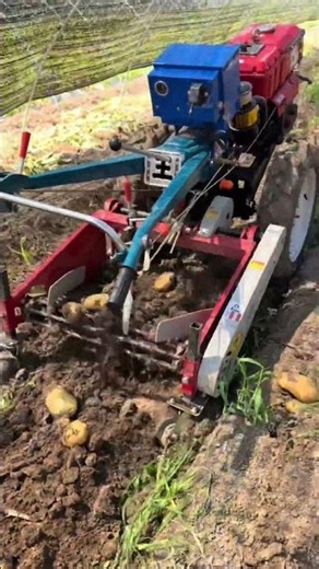 Smart Agricultural Machine Working in Field with Original Sound | Modern Farming Technology potatoes