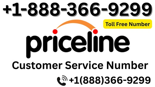 priceline (12)