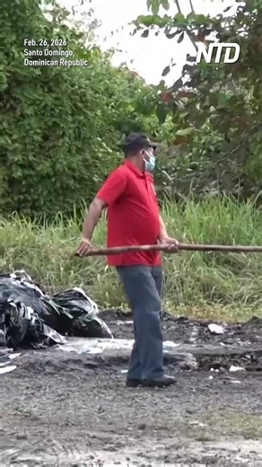 Dominican authorities publicly incinerated 2.8 tons of seized cocaine and marijuana on Thursday. | NTD News