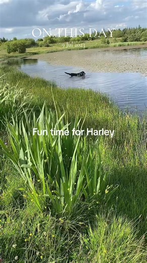 Heath_Land on TikTok