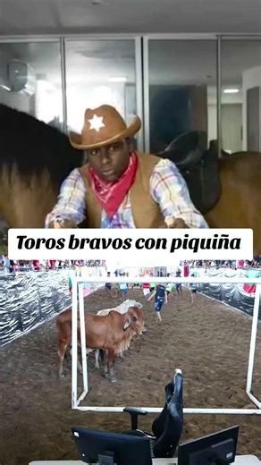 Toros bravos con piquiña en el llano