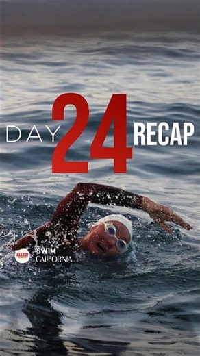 Swimming With Wild Dolphins 🌊 | Day 24