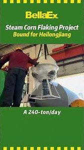 Steam Corn Flaking Project Shipped to Heilongjiang
