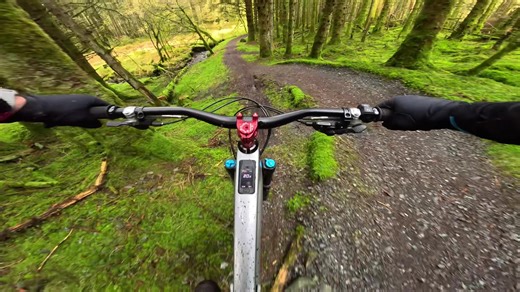 Exploring The Stream Trail on a Mountain Bike