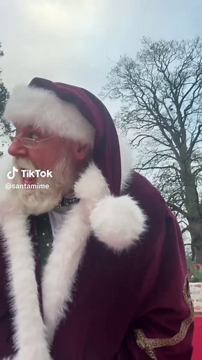 Santa's Confident Christmas Celebration