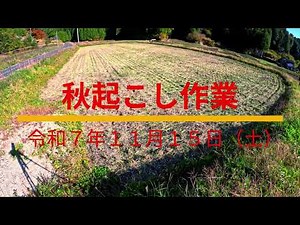 20251115秋起こし作業０９
