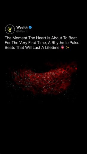 Wealth on Instagram: "Before a heart ever beats, life organizes itself in silence. ⚡🧬 Scientists captured the exact moment cardiac cells self-organize into a coordinated electrical rhythm, seconds before the first heartbeat begins. At this stage, there is no heart chamber yet. Instead, thousands of cells synchronize electrically, forming a wave that triggers the first contraction and establishes a rhythm that will continue for decades. Using fluorescent proteins and ultra-high-resolution micros