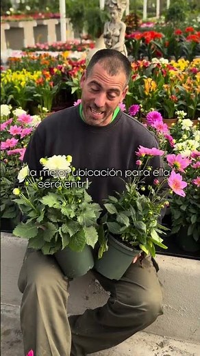 🌿 Don't know what to plant in March? At Viveros El Lago we give you some ideas for ideal plants