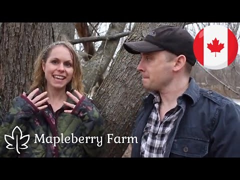 Our Homestead World | Canada | New Brunswick - Ep. 12