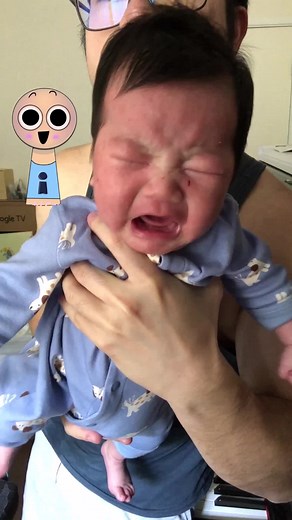 Sprunki Theme: Baby's Cry Soundtrack Explained