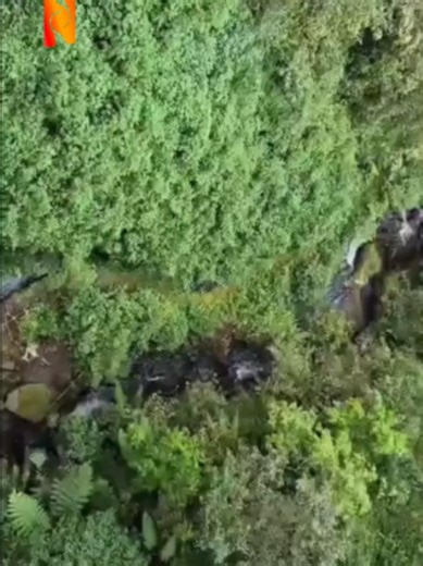 Kamis (23/4) — Kabar aksi bund*r kembali terjadi di kawasan Jembatan Cangar, yang merupakan perbatasan antara Kota Batu dan Kabupaten Mojokerto. Informasi yang beredar di masyarakat masih belum dapat dipastikan kebenarannya. Pihak kepolisian dari Polsek setempat saat ini tengah melakukan penyelidikan guna memastikan kronologi serta fakta di lapangan. Masyarakat diimbau untuk tetap tenang dan tidak mudah menyebarkan informasi yang belum terverifikasi. #fypdong #fyppp #fypage #foryoupage #viralvid