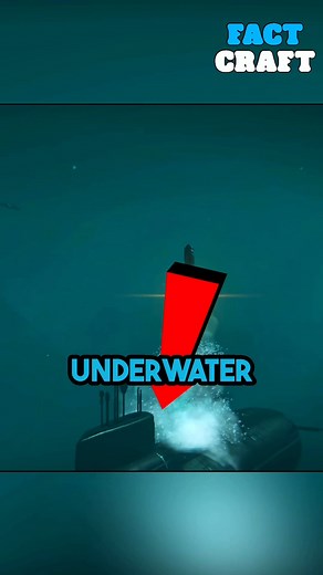 There’s no engine smoke underwater at all! 🌊🚢💨 | Talking Parrot