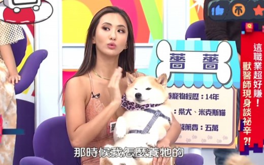 蔷蔷讲述养栗子的过程，栗子胆子很小，还有心理创伤，蔷姐把它顾得真的很好了