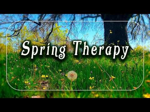 Relaxing Nature Ambience Meditation 🌳Fresh Morning Positive Energy 🌳Birds Chirping Healing Frequency