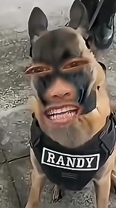 Roberto Ramirez on Reels