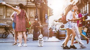 ディズニー映画で英語学習！おすすめ13選【難易度順・初心者OK】