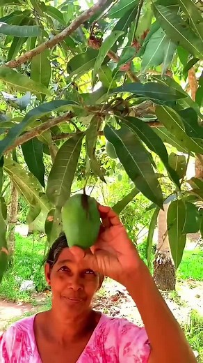 SL Cooking Mania on TikTok