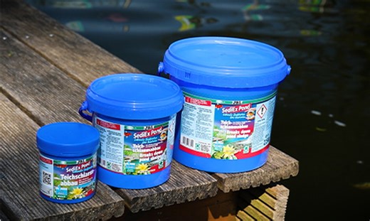 Too much sludge in the pond? This is how to biodegrade pond sludge.