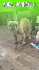 19K views · 709 reactions | Alright so mural Mondays will stay the...