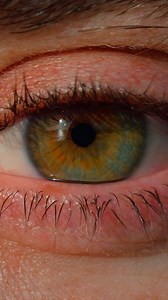 9.8K views · 563 reactions | È ufficiale, finalmente posso dirvelo....