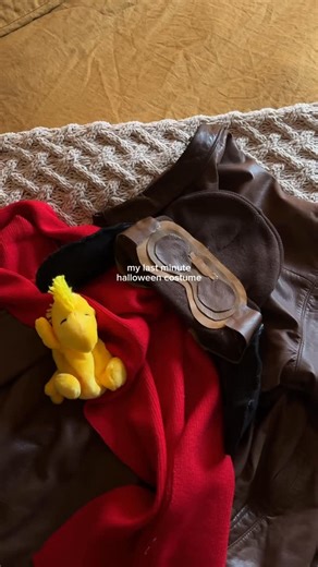 jensen on Instagram: "happy halloween from snoopy! 🎃 halloween, fall aesthetic, snoopy costume, halloween costume, autumn aesthetic, cozy at home"