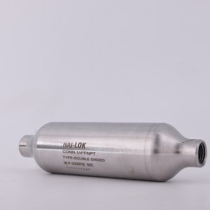 [Hot Item] Steel 316L 1/4" NPT 5000psi Sampling Cylinder Dual Valve for Oil & Gas
