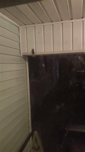 spider caught a bug in web