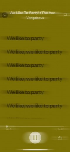 Vengaboys We Like to Party Lyrics